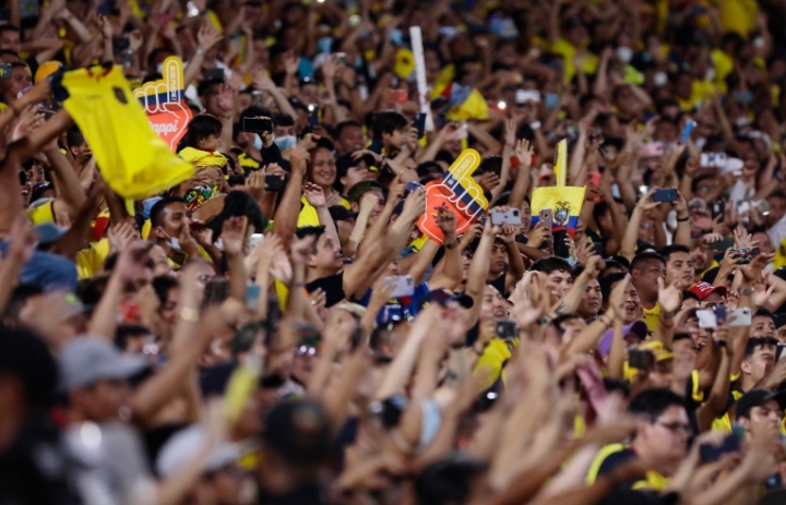 Fans celebrate after the World Cup qualifier match.