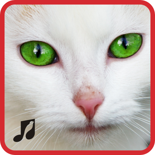 Cat Sounds Ringtones