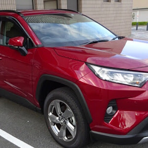 RAV4 ACA31W