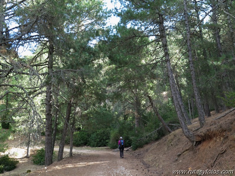 Pico Blanquillo (Sierras de Cazorla, Segura y Las Villas