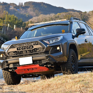 RAV4 MXAA54