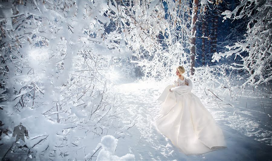 Fotógrafo de bodas Denis Kaseckiy (nskfoto). Foto del 26 de noviembre 2015