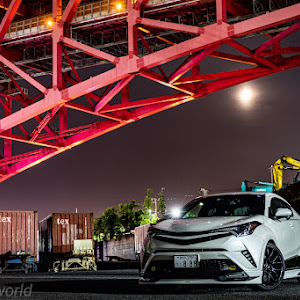 C-HR NGX50