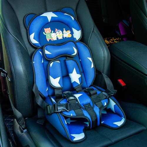 Title 2, Child Safety Seat Simple Portable Car Seat Cush...
