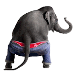 Cover Image of Herunterladen Dancing Talking Elephant 1.1 APK