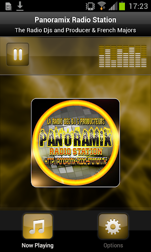 Panoramix Radio Station