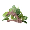 miniatures image - 1