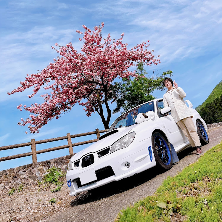 インプレッサ WRXの桜・桜とコラボ・桜と愛車・写活・吉田河川公園に関するカスタム事例の投稿画像2枚目