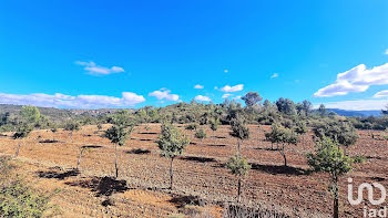 terrain à Villesèque-des-Corbières (11)