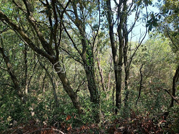 terrain à La Capelle-et-Masmolène (30)