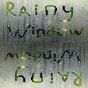 Rainy window  Icon