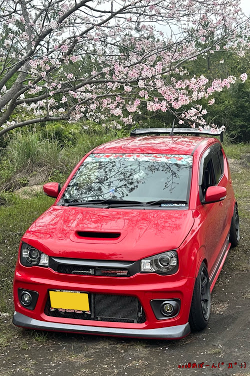 アルトワークスのみにくいアルトの子・ツギハギレーシング・自己満足のカタマリ・サクラと愛車・『君の圧倒的な性能に私は心奪われた。この気持ち、まさしく愛だ！！』に関するカスタム事例の投稿画像1枚目