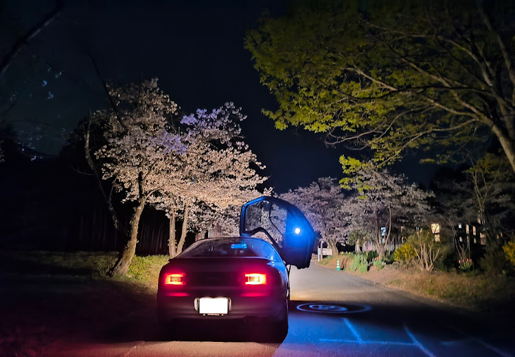 セラのサクラと愛車・秩父・羊山公園・夜桜と愛車に関するカスタム事例の投稿画像5枚目