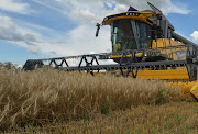 An employee operates a combine as he harvests wheat in a field, as Russia's attack on Ukraine continues, in Kharkiv region, Ukraine, on July 19 2022. File photo.