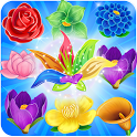 Blossom Story icon