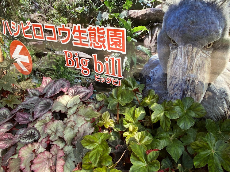 シエンタのいつもいいね👍&コメントありがとうございます🙇🏻‍♂️✨・低くないのに低く見せかけようと努力する車・熱中症に注意！・可愛い〇〇〇❤️・コンテナは盛れる？に関するカスタム事例の投稿画像13枚目