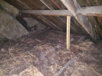 Loft Insulation album cover