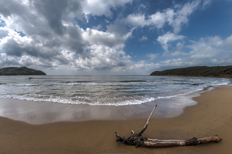 Sul golfo di Baratti di andreap