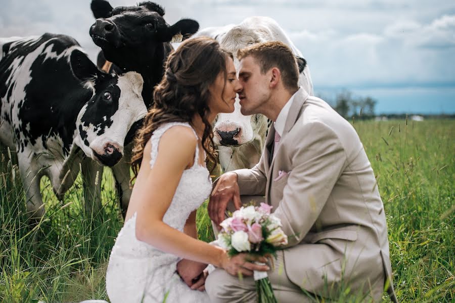 Fotógrafo de bodas Dorota Karpowicz (karpowicz). Foto del 8 de enero 2018