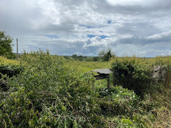 terrain à Saint-Seine (58)