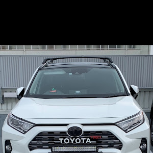 RAV4 AXAH54