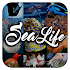 Sea Animal Encyclopedia1.0