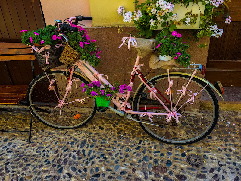 Primavera rosa di fantinferruccio