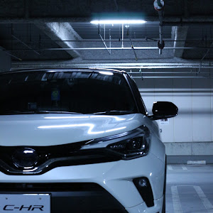 C-HR ZYX11