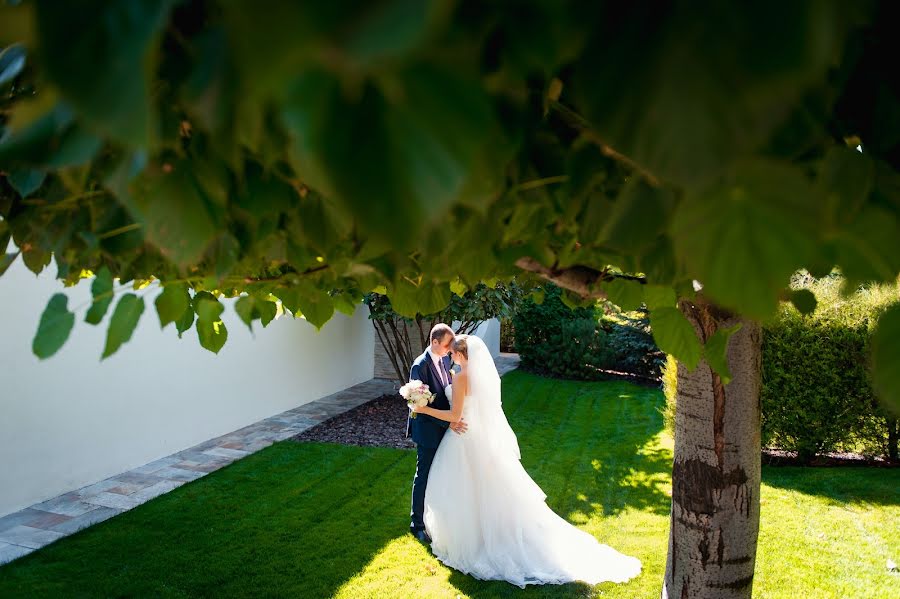 Fotógrafo de casamento Ruslan Shramko (rubanok). Foto de 22 de janeiro 2016