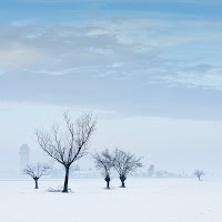 Paesaggio invernale di 