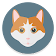 Cat Diet icon