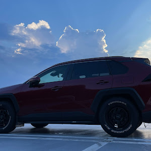 RAV4 MXAA54