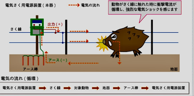 の投稿画像5枚目