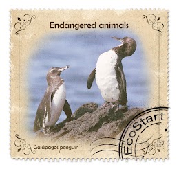 "Stamp" with a Galapagos penguin