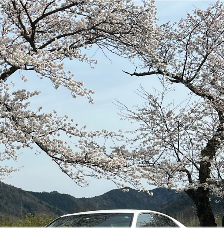 クラウンアスリートのいずみんさんが投稿したカスタム事例の投稿画像1枚目