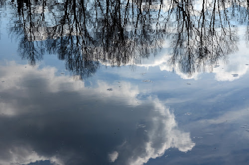 cielo azzurro giù di nicoletta lindor