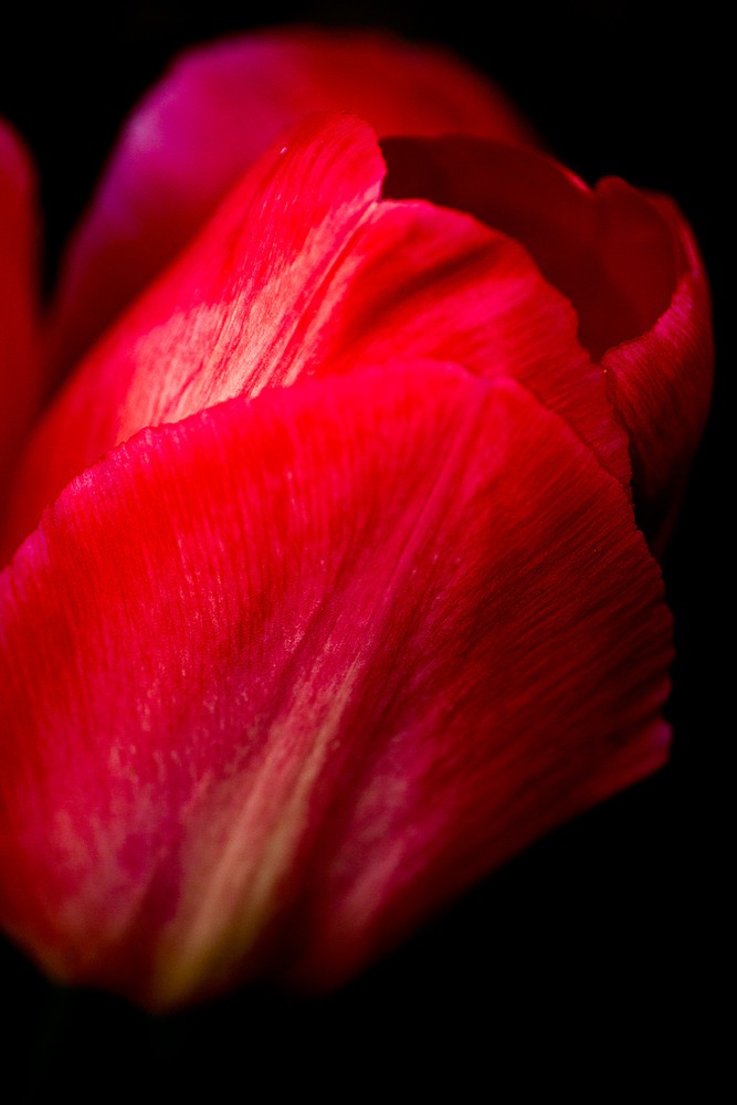 Red Vision  di www.fotodavidediegodilevrano.com