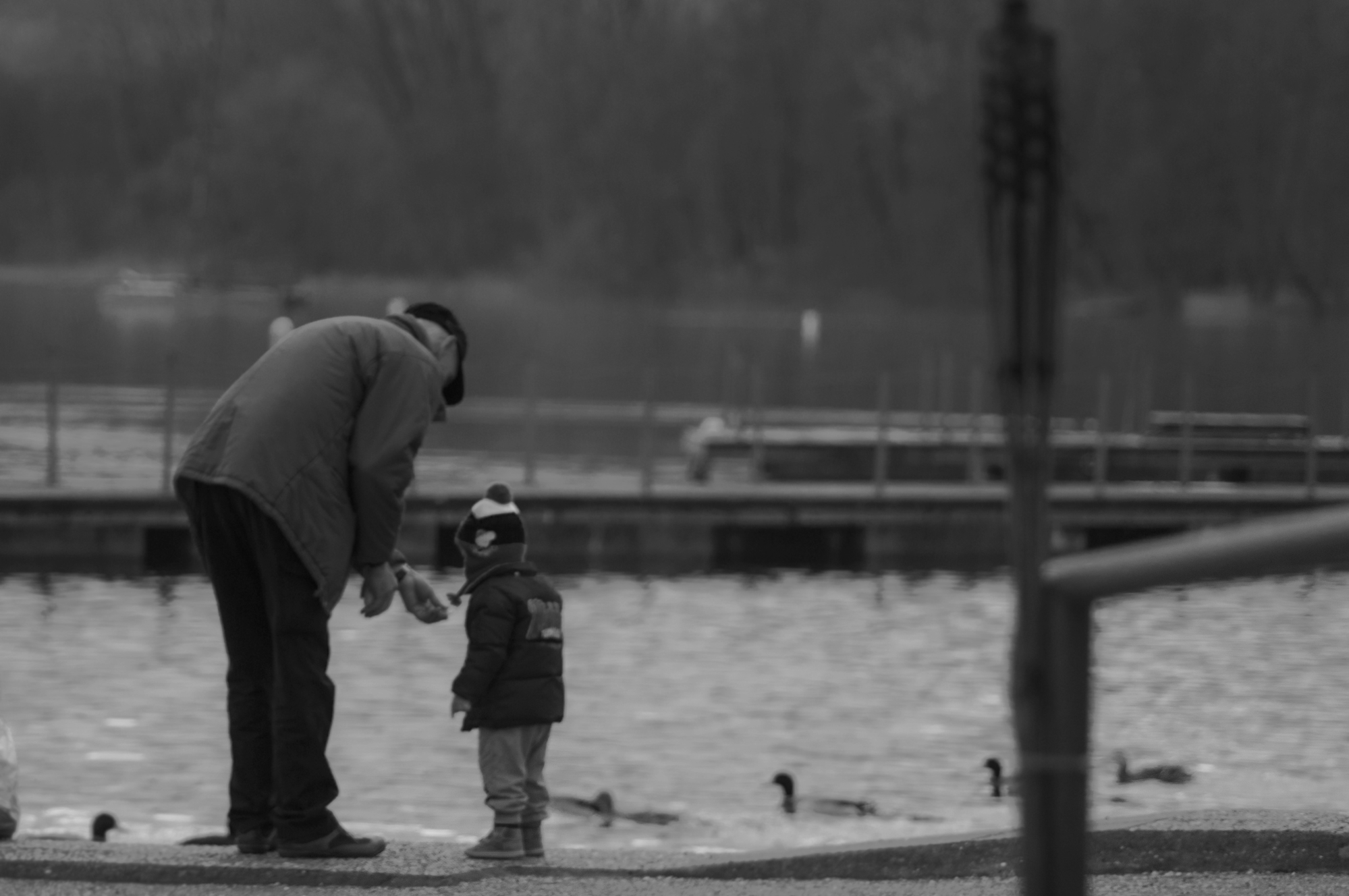 Il vecchio e il bambino di Marck Nibi