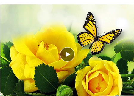 5D Diamond Painting Rozen met Vlinder DIY Set Kunstwerk Ontspanning Decoratie Thuis Glanzende Bloemenpracht