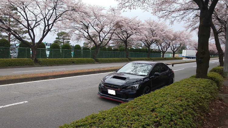 WRX STIの桜🌸・ドライブに関するカスタム事例の投稿画像4枚目