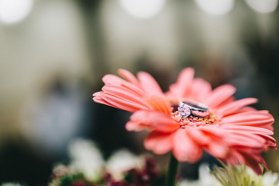 Wedding photographer Luis Quevedo (luisquevedo). Photo of 22 February 2018