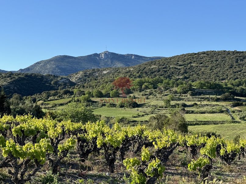 Vente terrain  3463 m² à Montpeyroux (34150), 230 000 €