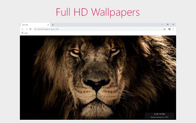 Cool Lion Full HD wallpapers new tab