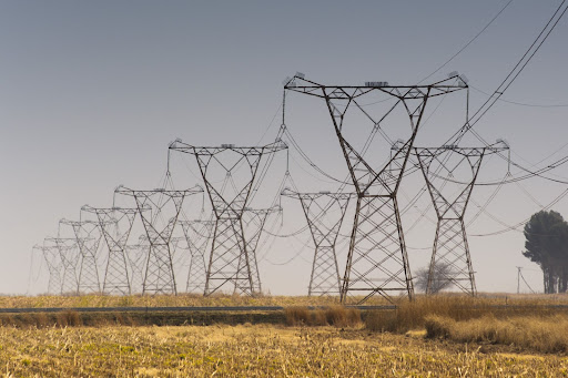 A court hearing on Tuesday will determine whether South Africa can move forward with a project to top up its energy capacity after a year of record power blackouts. The ruling will also be critical for the businessman who blocked the plan with his lawsuit.