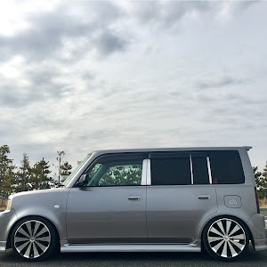 bB NCP30