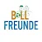 Ballfreunde icon