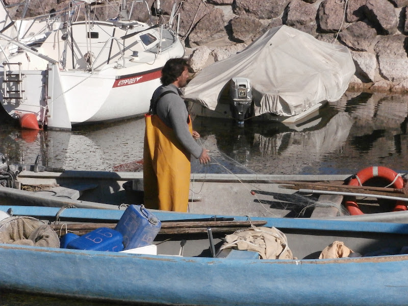 Al lago ma per lavoro di Renato Teodori