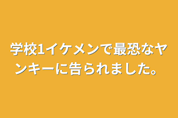 学校1イケメンで最恐なヤンキーに告られました。