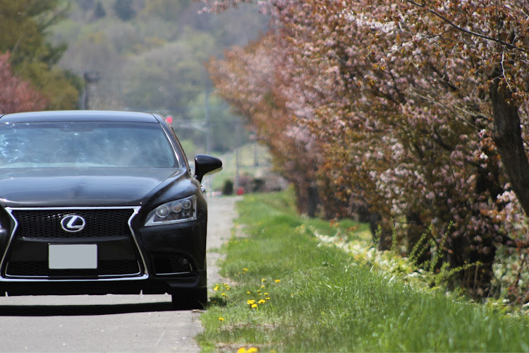 LSの残桜・cartunefriends・北海道・和琴半島・DIY作業に関するカスタム事例の投稿画像3枚目