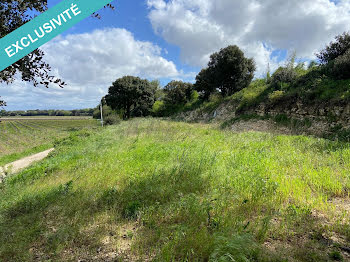 terrain à Sérignan-du-Comtat (84)